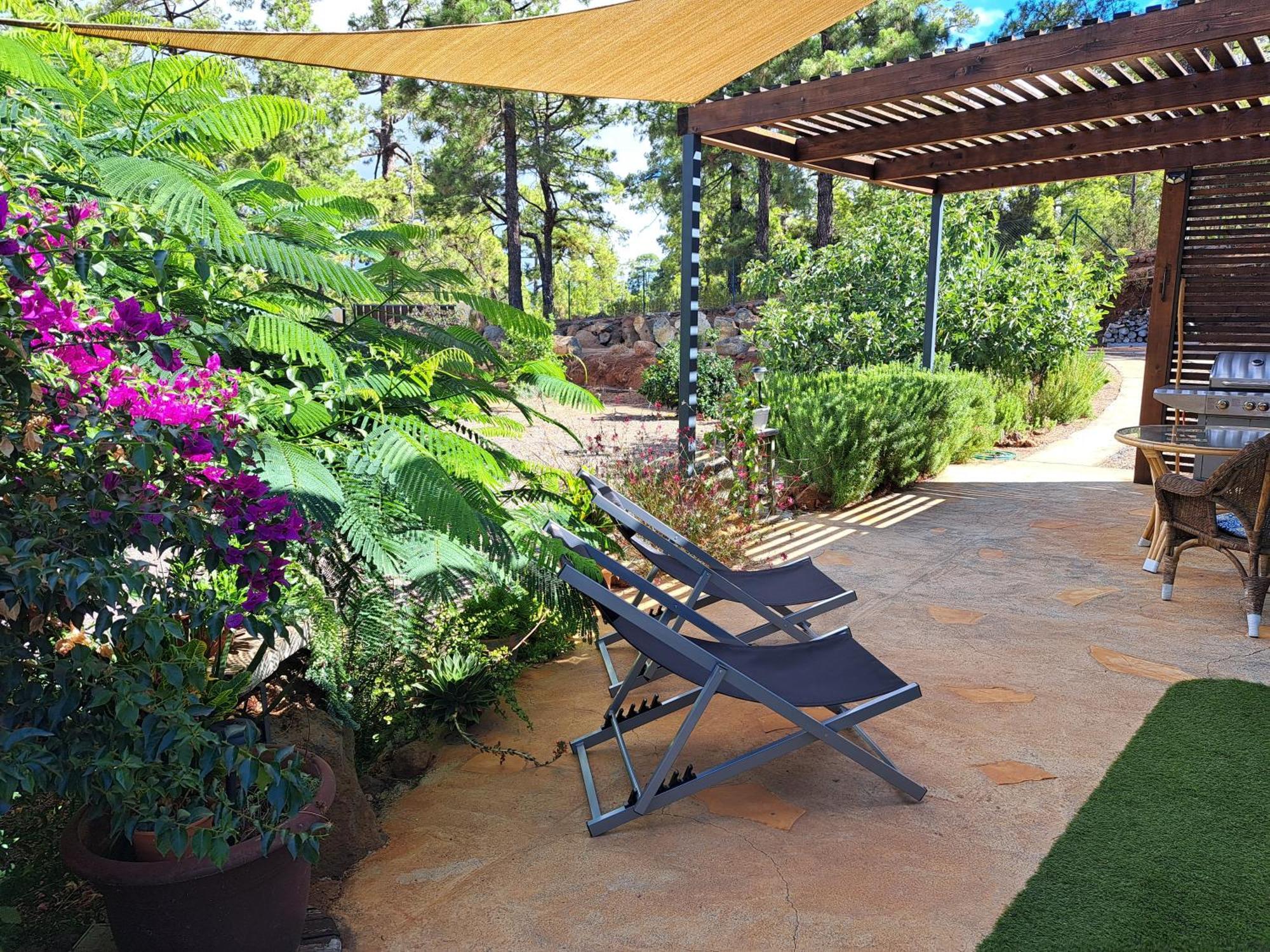 Casa Nogal Apartment Puntagorda (La Palma)