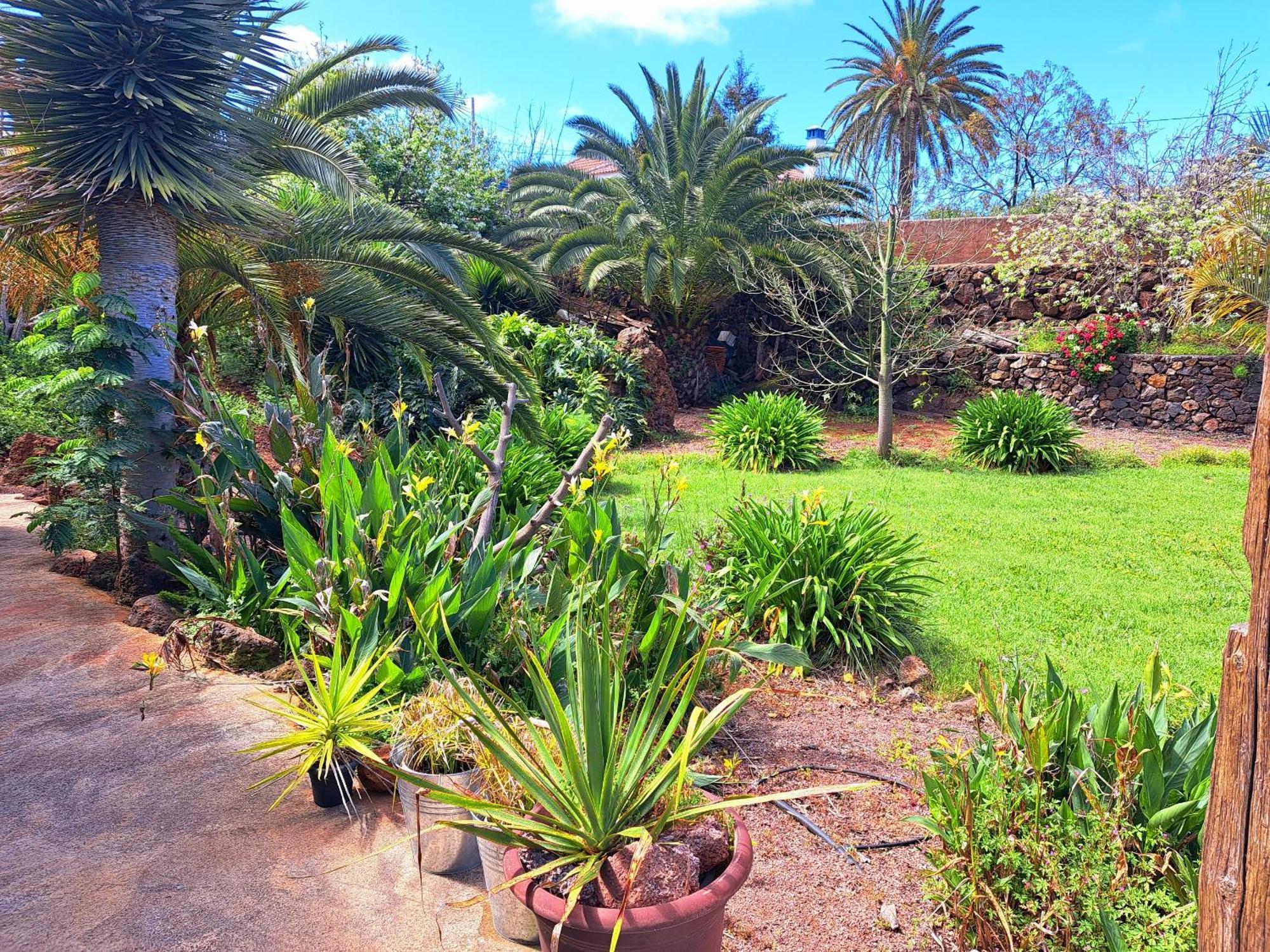 Casa Nogal Apartment Puntagorda (La Palma)